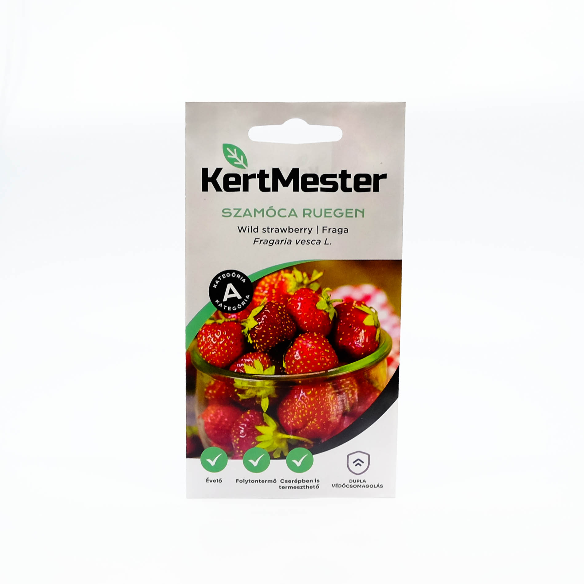 Kertmester Szamóca Ruegen