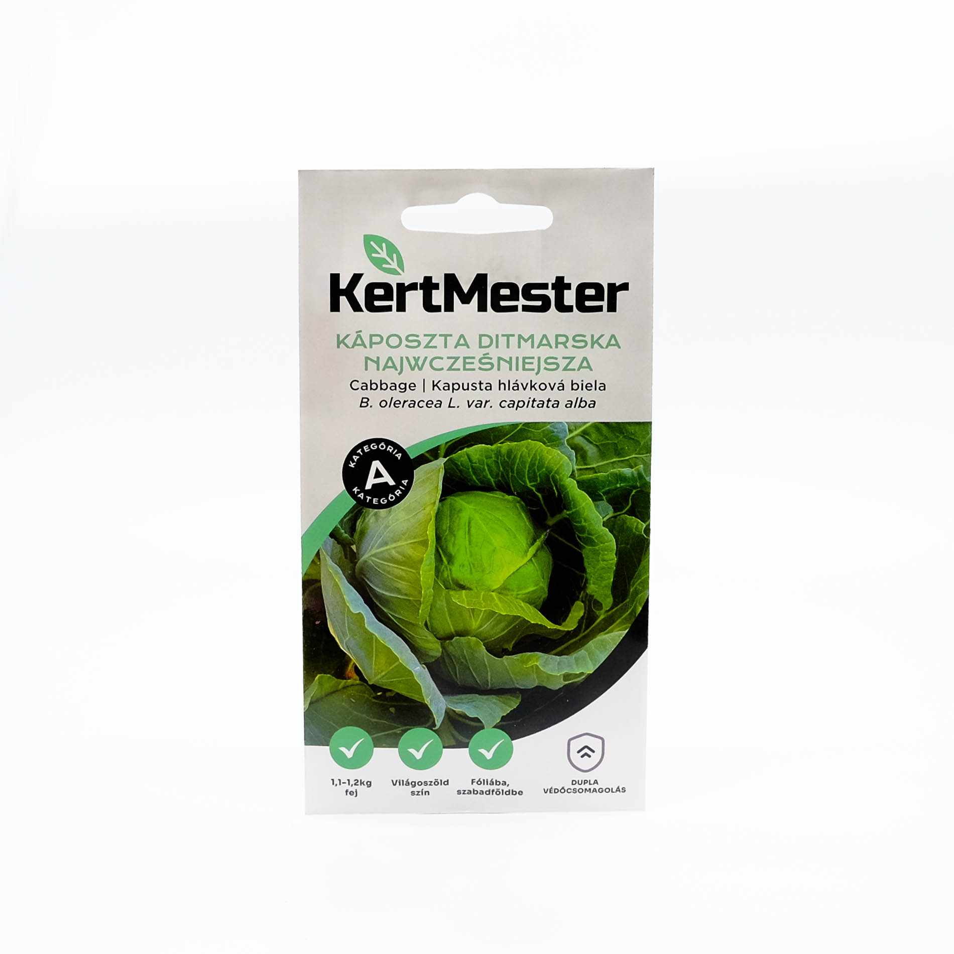 Kertmester Káposzta Ditmarska